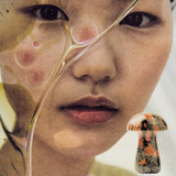 Gua Sha Shroom Unakite